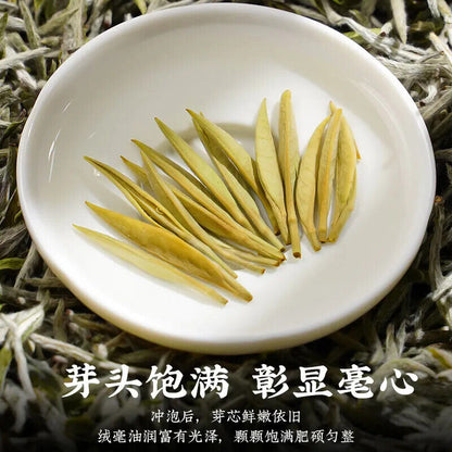 350g Top Quality White Hair Silver Needle Fuding White Tea 陈一凡 顶级品质福鼎白茶白毫银针单芽嫩芽