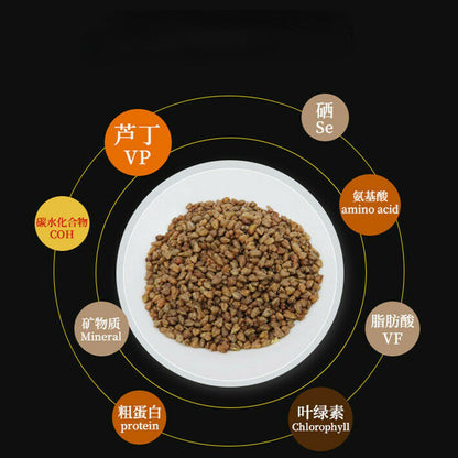 Natural Black Tartary Buckwheat Herbal Tea Heikuqiao Herbs Tea Bags 7g*50 Bags