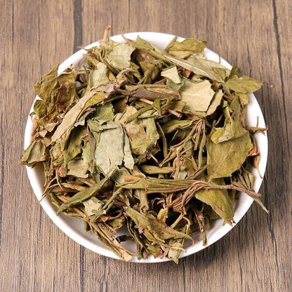 Organic Herbal Folium Rhododendri Dahurici Dahurian Rhododendron Leaf Quality
