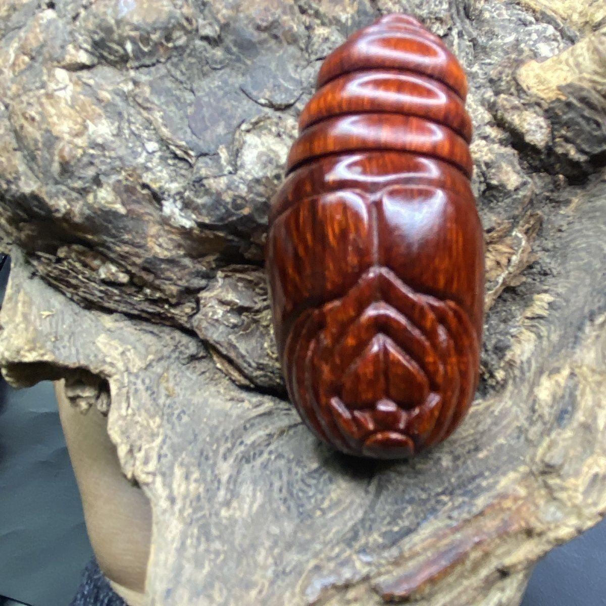 Red Sandalwood Silkworm Pupa Hand Carved Movable Head Worry Stone Fidget Toy