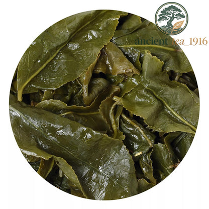 250g Premium Taiwan Milk Oolong Tea Jinxuan Alishan High Mountain Loose Leaf