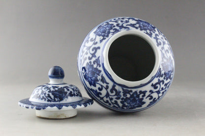 Fine China Hand Painted Flower Blue and White Porcelain Vase & Jar Decoration