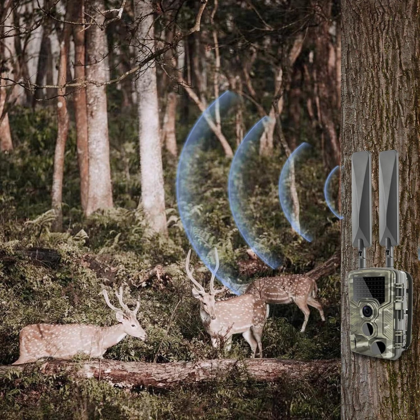 Cellular Trail Camera Upgrade Replacement SMA Male Antenna Booster for Spypoint