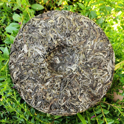 357g Spring Tea Pu'er Tea Cake Top Jingmai Ancient Tree Cha Tea Pu'er Gift Tea