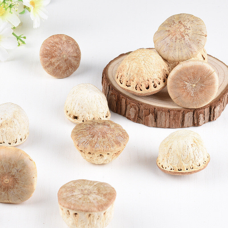 Insect free Wind Fruit Bulk Turtle Head