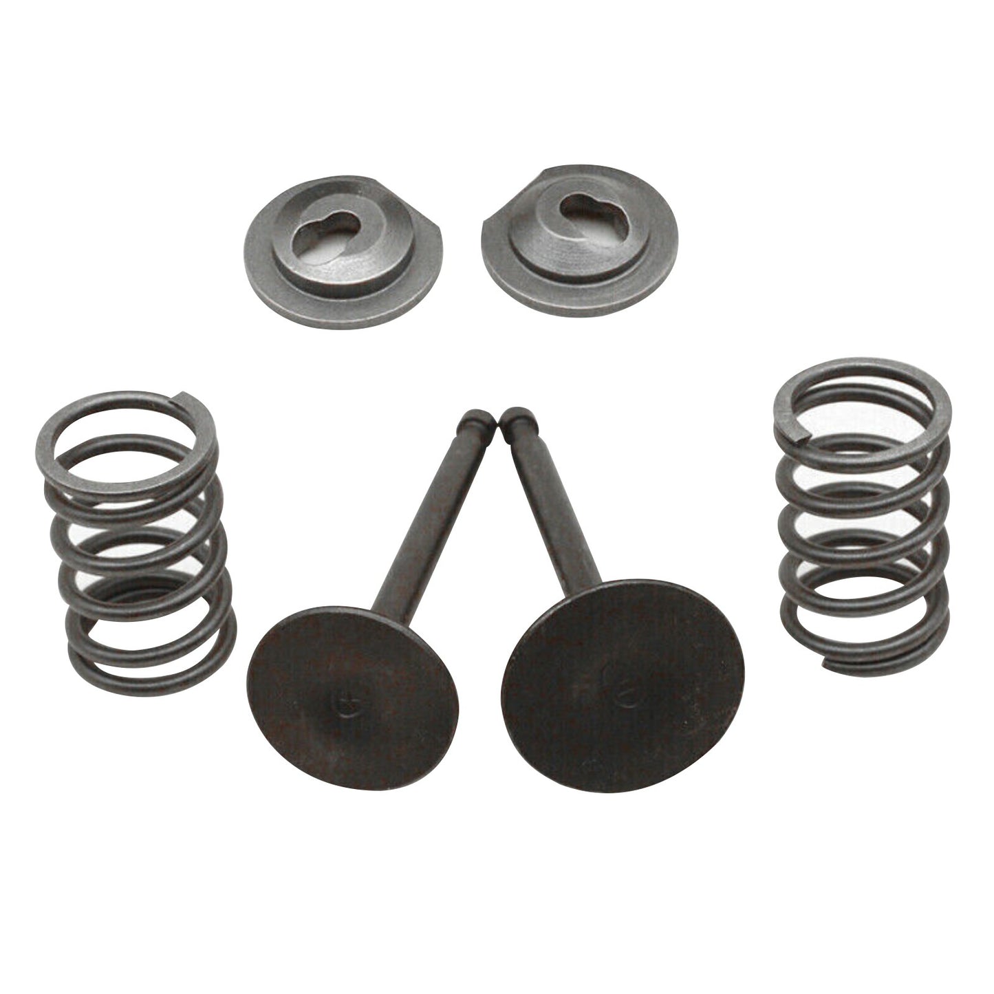 Valve Springs Kit For Honda GX160 GX200 168F 170F 5.5-6.5HP Gasoline Engine