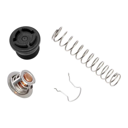 Plastic+Metal 77707-0010 Thermal Regulator Replacement Kit For Pentair Pool Spa