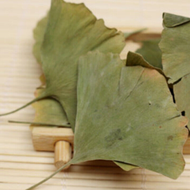 500g Natural Dried Ginkgo Biloba Leaf Tea Health Pure Anti-aging Green Herbal