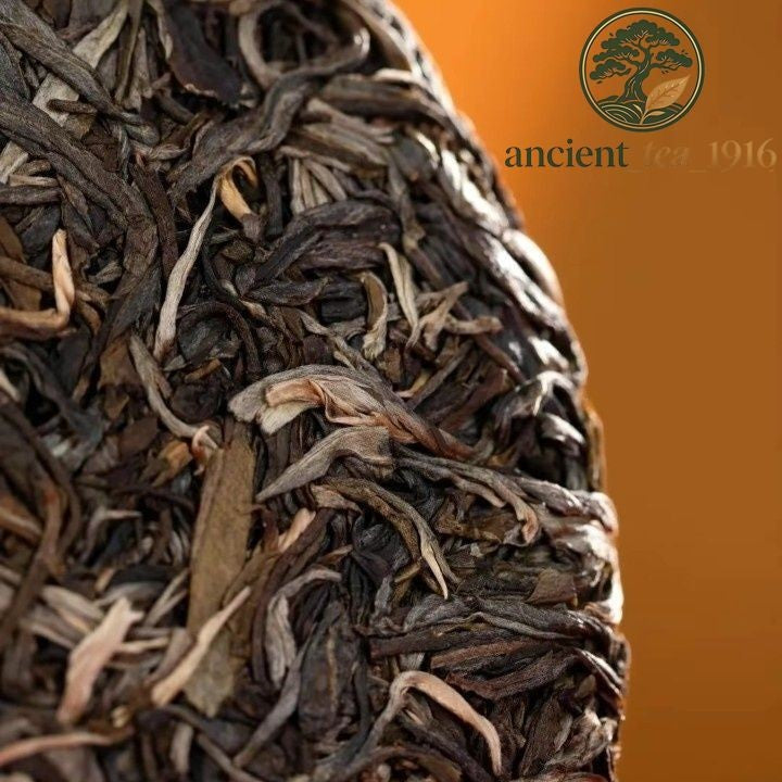400g Haiwan 2024 Raw Puer tea "Dragon" Teng Da Raw Pu Er Cake