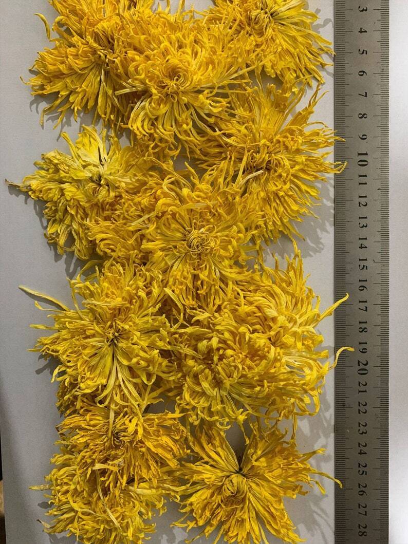 500g Golden Chrysanthemum tea,flower tea,flowers tea,chinese flower tea,
