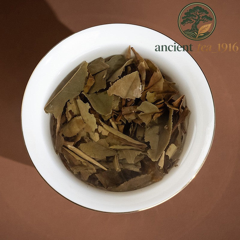 300g 2019 Fuding White Peony Tea Cake Ming Qian High Mountain White Tea