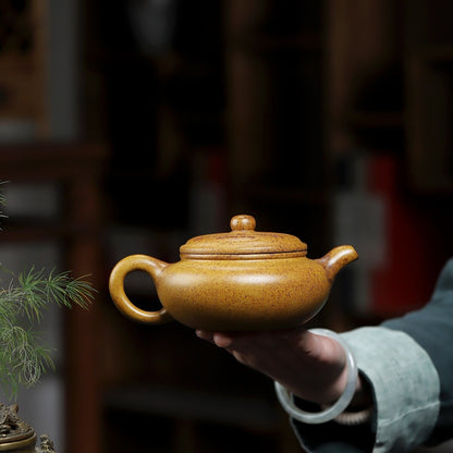 300ml Tea Pot 9 Infuser Holes Yixing Zisha Duan Clay Master Pot Flat Antique Pot