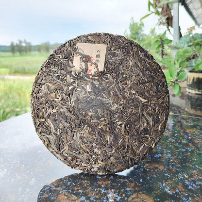 Yunnan Pu'er tea Yibang High Stem Old Tree Tea Cake 357 Kesheng Pu'er