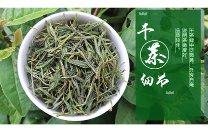 Premium Huangshan Maofeng Yellow Mount. Chinese GREEN TEA Mao Feng
