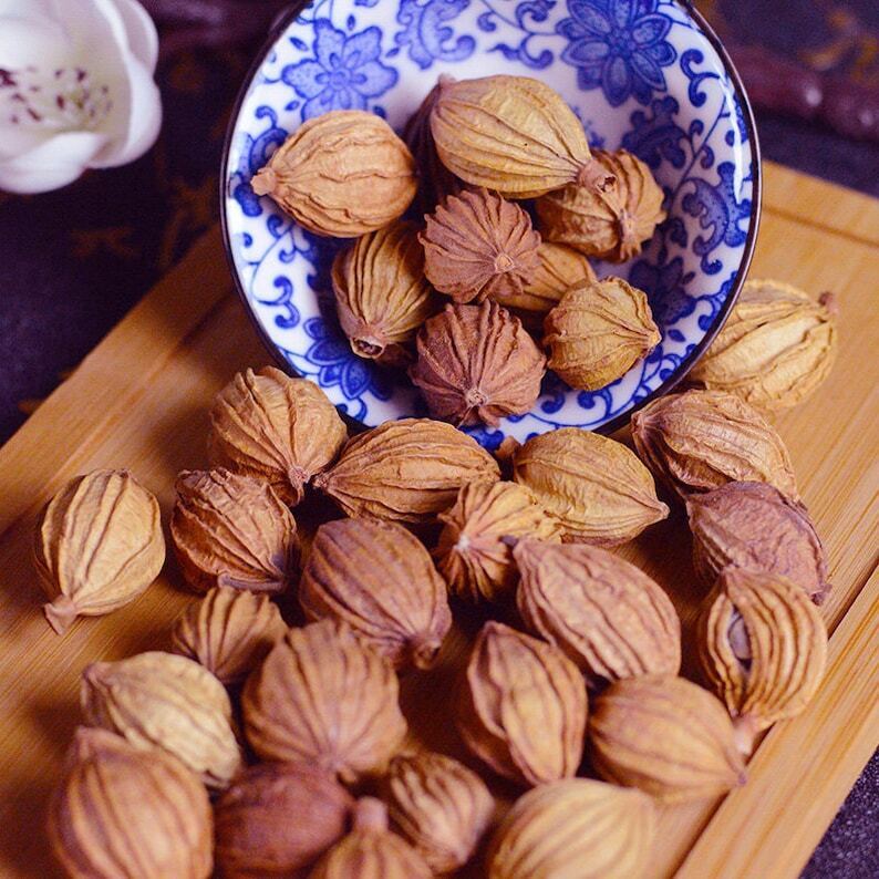 Dried Cocklebur-like Amomum Fruit Natural Fructus Amomi High Quality