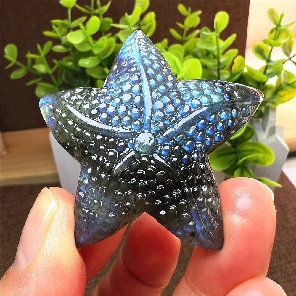 Natural Labradorite Hand Carved Starfish Skull Quartz Crystal Healing Reiki 1pc