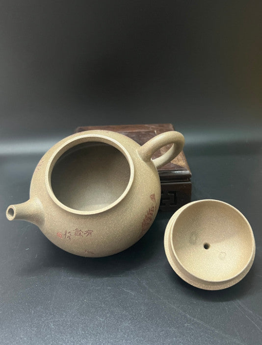 170cc chinese Yixing Handmade Zisha teapot Duan clay YouYu Hu Gongfu Tea Pot
