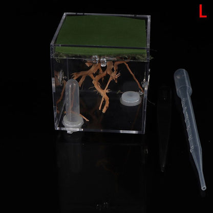 Ant Farms 3Pc Acrylic Clear Spider Insect Breathable Terrarium Reptile Breed Box