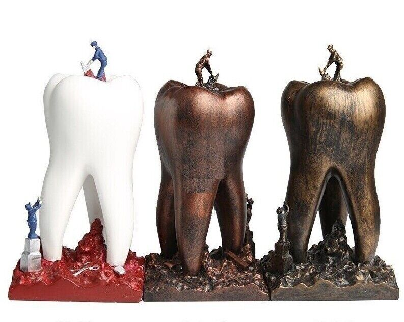 Creative Sculptures Teeth Artware Dental Clinic Crafts Toys Resin Metal 9x9x18cm