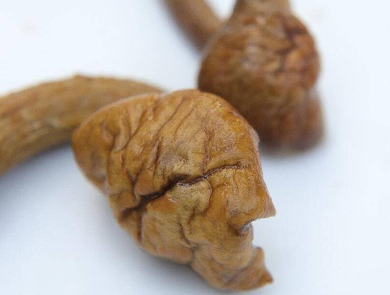 Recommend Pholiota Nameko Premium Dried Nameko Mushroom Very Delicious