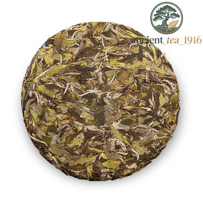 300g 2023 Fuding White Tea Ming Qian White Peony Jujube Fragrance White Tea Cake
