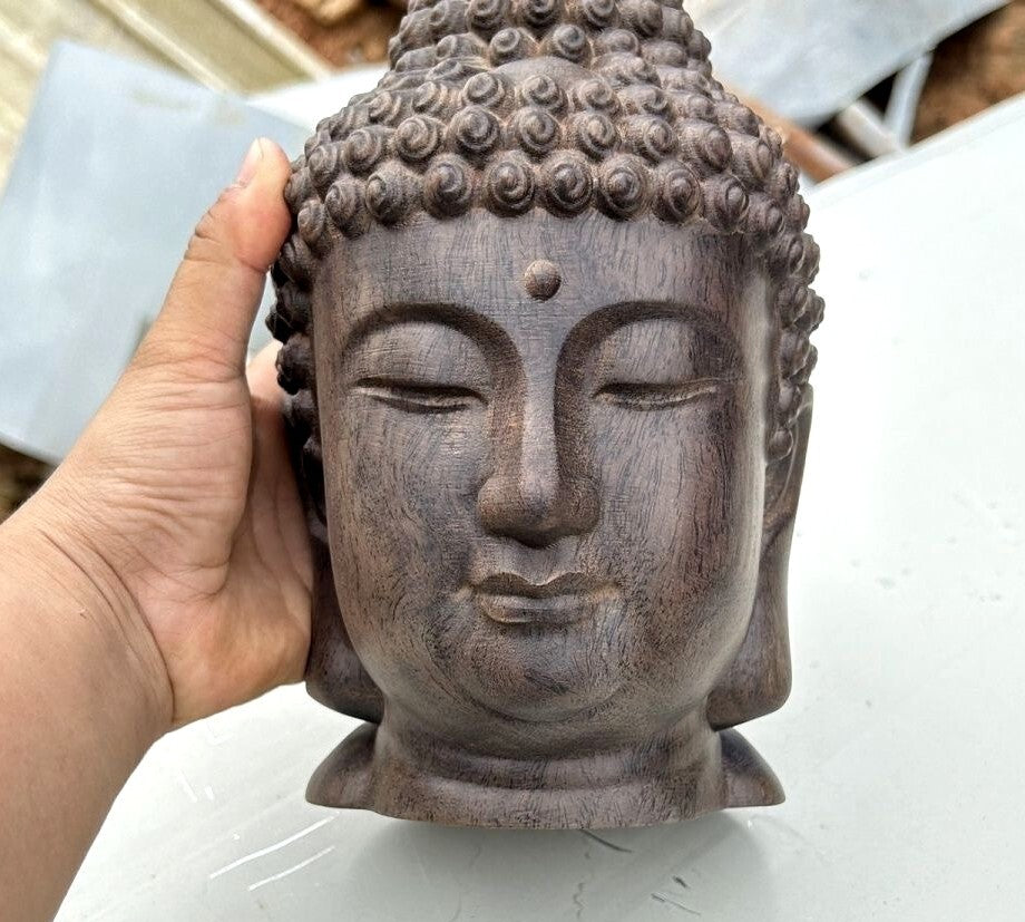 8.3" Natural Agilawood Carved Sakyamuni Buddha Head Statue Buddhism Collect