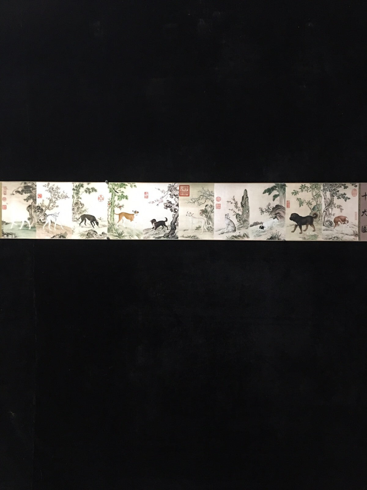 Antique boutique scroll painting, a ten dog painting by Lang Shining
