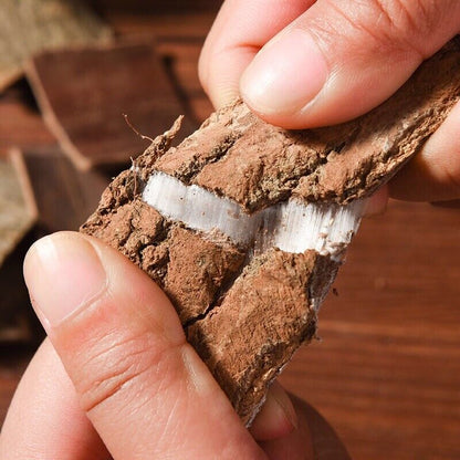Natural Wild Eucommia Bark Eucommiae Cortex, Dried Bulk 杜仲皮 Herb Tea