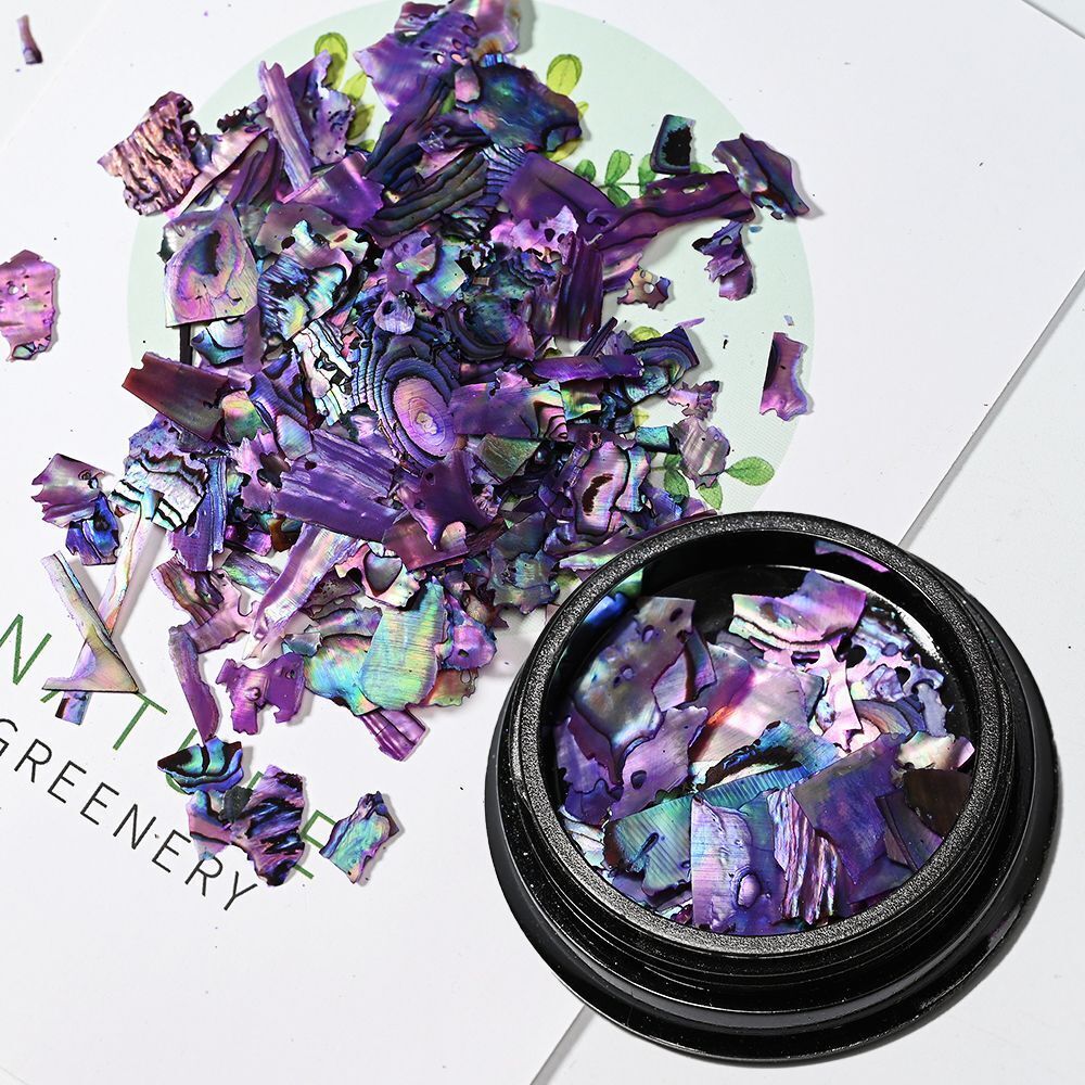 Nail Art Decor 3D Irregular Abalone Natural Sea Shell Stones DIY Accessory 1 Box