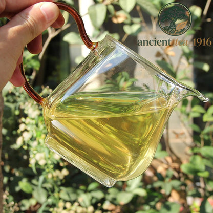 500g 2023 Ban Zhang Raw Tea Ancient Tree Pu'er Tea