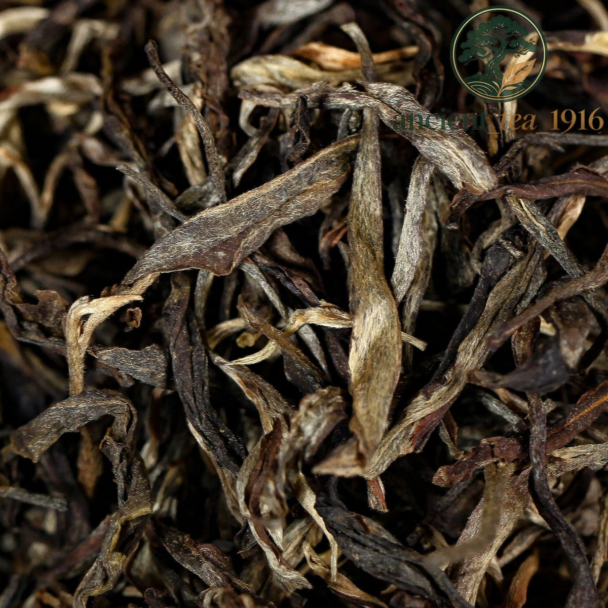 500g 2025 Spring Tea Yunnan Menghai Loose Tea Pu'er Raw Tea