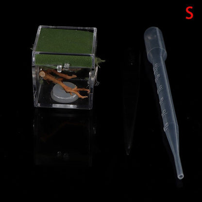 Ant Farms 3Pc Acrylic Clear Spider Insect Breathable Terrarium Reptile Breed Box