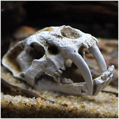 New Resin Skull Model Saber-toothed Tiger Replica Imitation Skeleton Decor