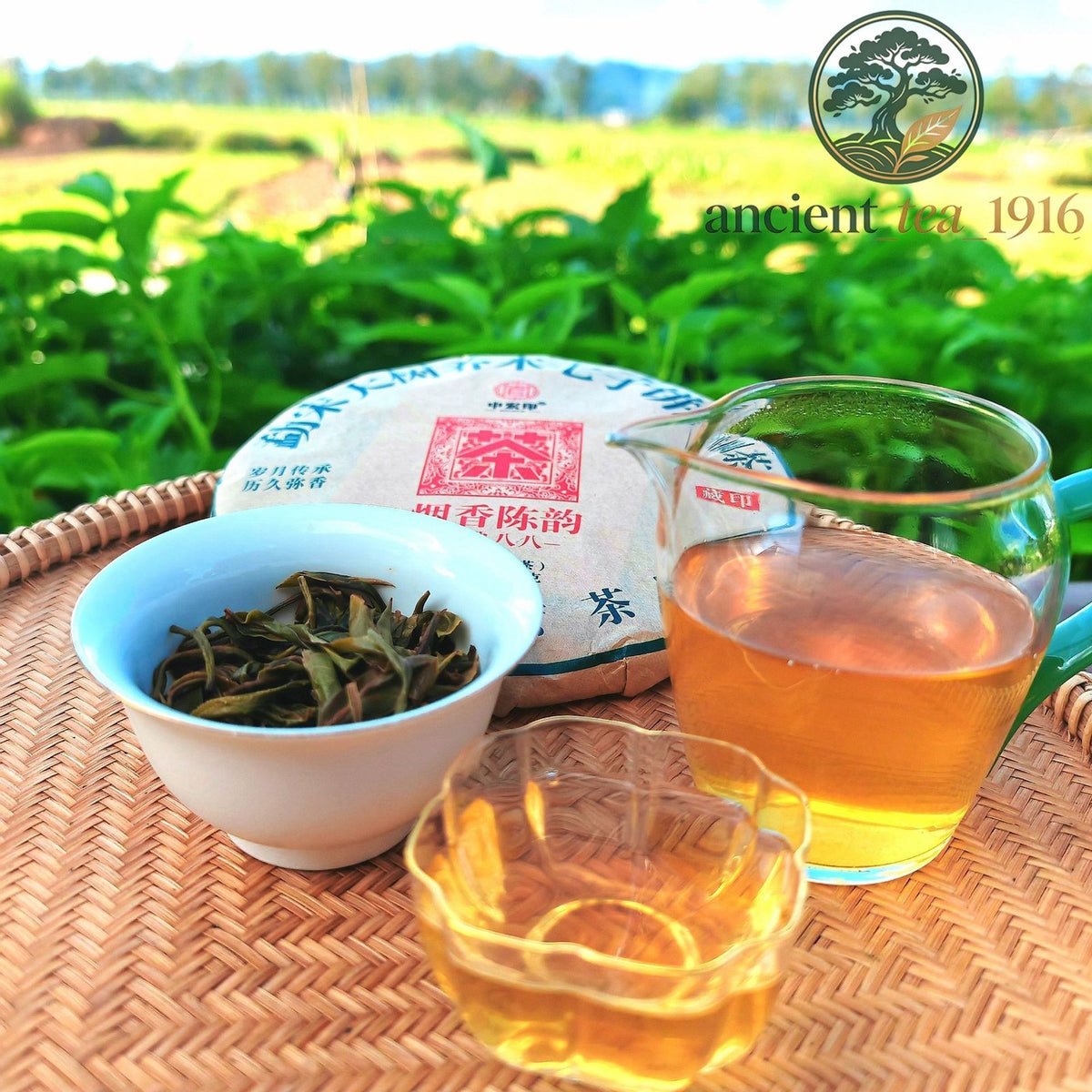 357g 2019 Yunnan Pu'er Tea Raw Tea Cake