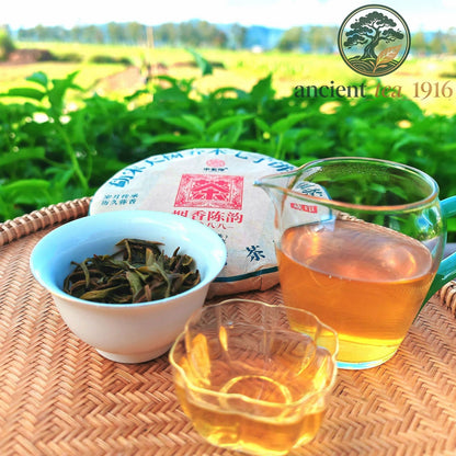 357g 2019 Yunnan Pu'er Tea Raw Tea Cake