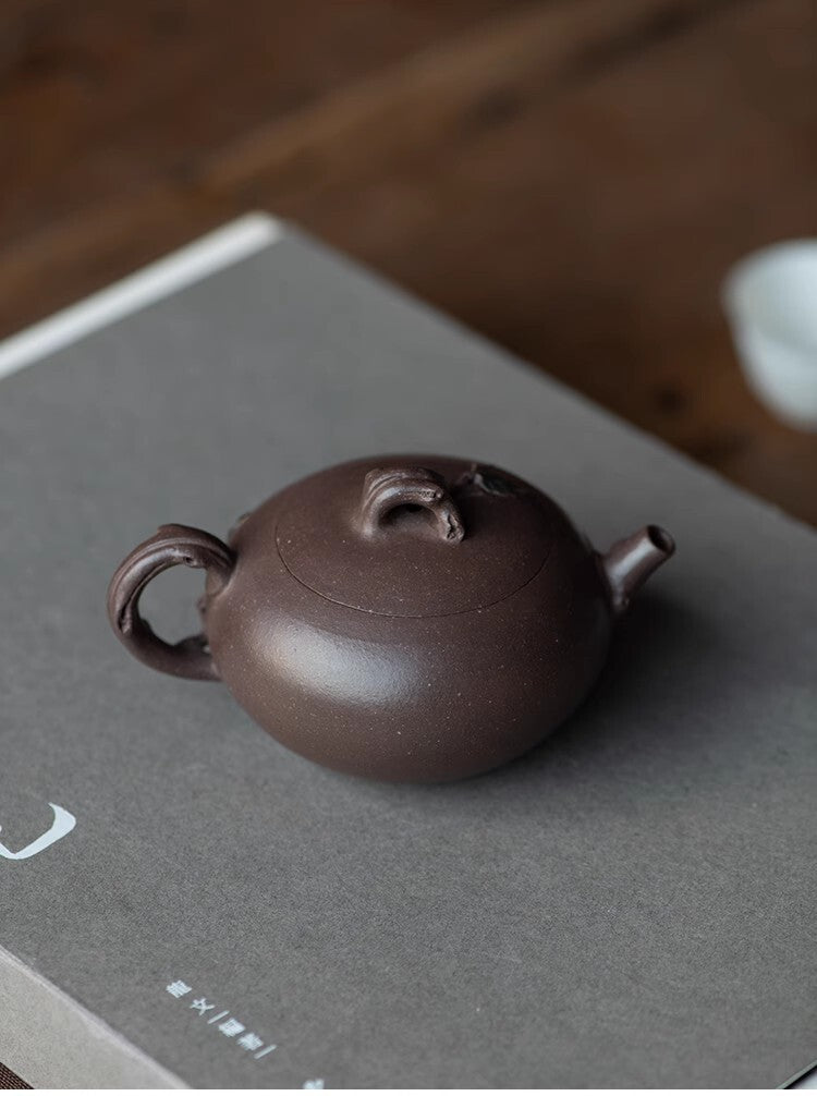 130cc chinese Yixing Handmade Zisha teapot tianqing clay liuxiang Hu Tea Pot