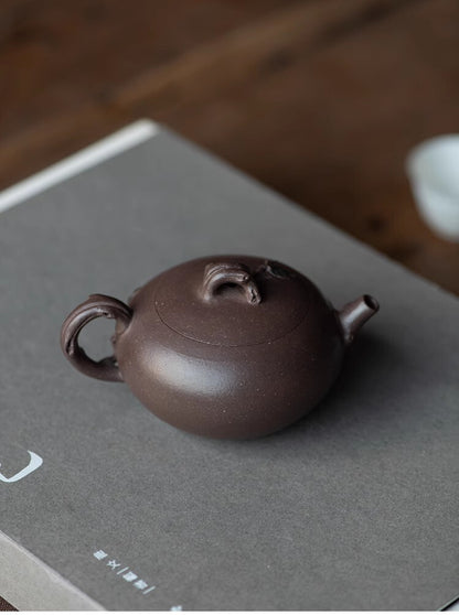 130cc chinese Yixing Handmade Zisha teapot tianqing clay liuxiang Hu Tea Pot