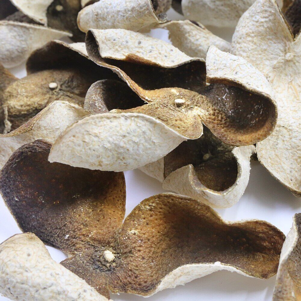2021 Chinese Green XinHui "Chen Pi" Dried Tangerine Peel Orange Peel Tea 50g