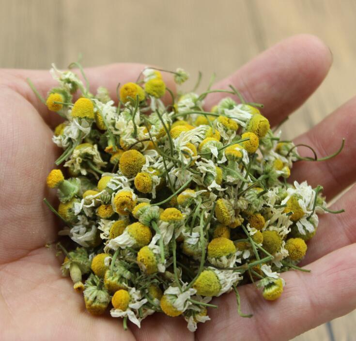 50~500g Premium Quality Chinese Chamomile Blooming Flower Tea Yellow Herbal Tea