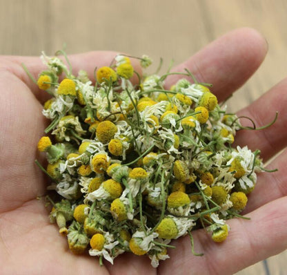 50~500g Premium Quality Chinese Chamomile Blooming Flower Tea Yellow Herbal Tea