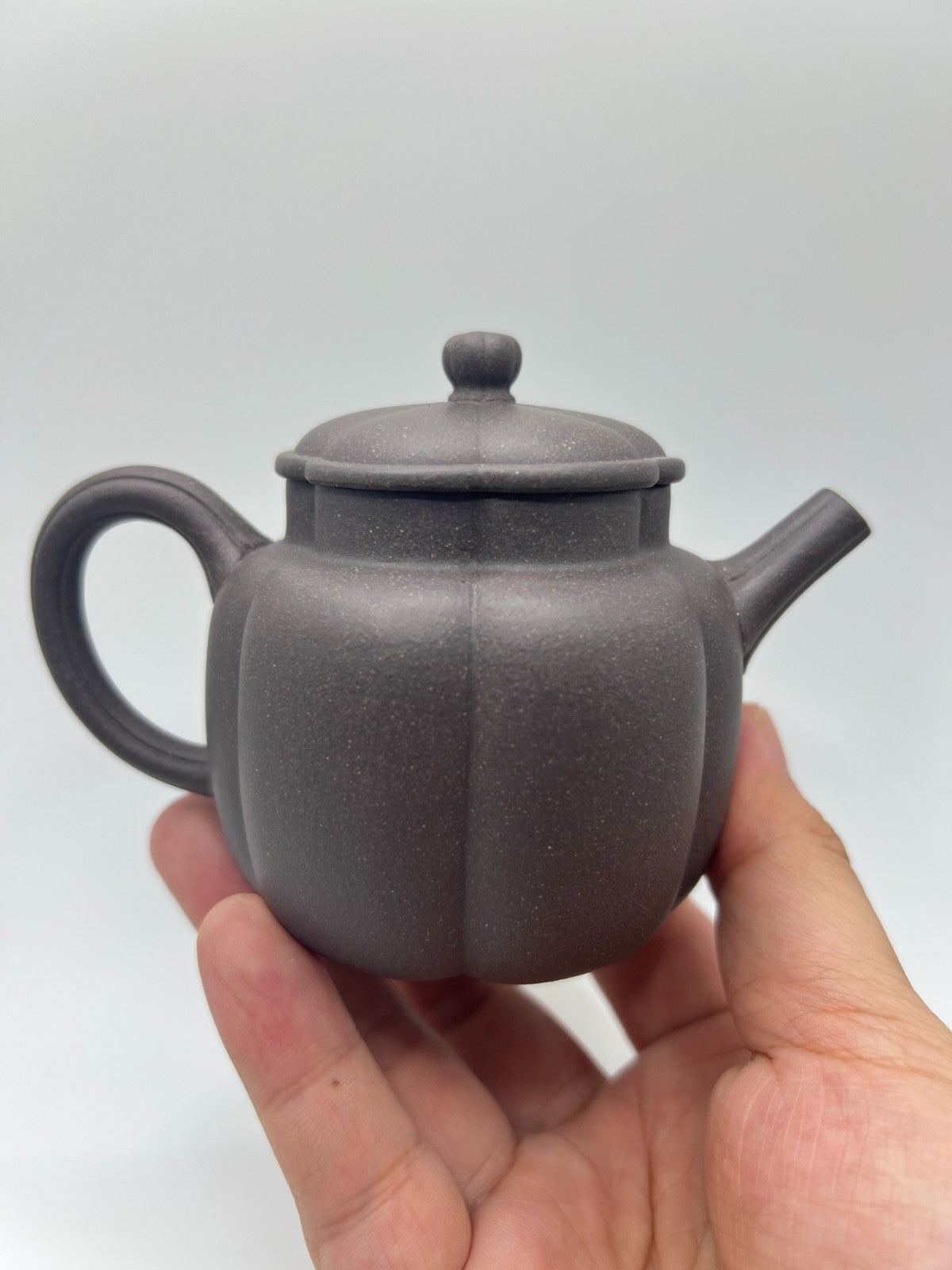 170cc chinese Yixing Handmade Zisha teapot TianQing clay FanHua Gongfu Tea pot