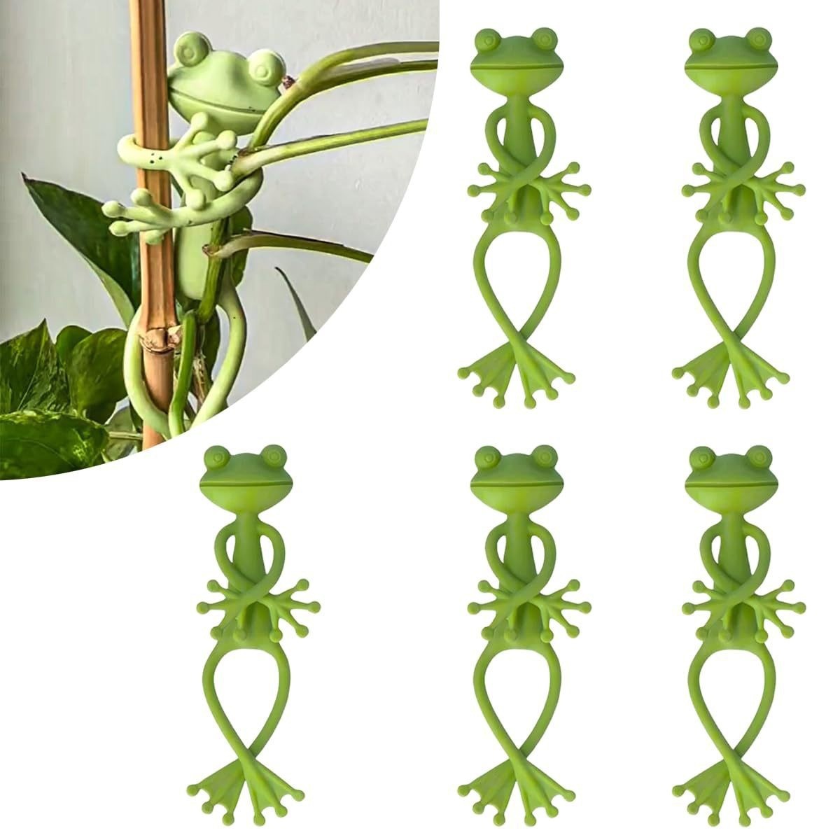 10 pieces of flower frog plant rack climbing vine plant fixed rack hot selling