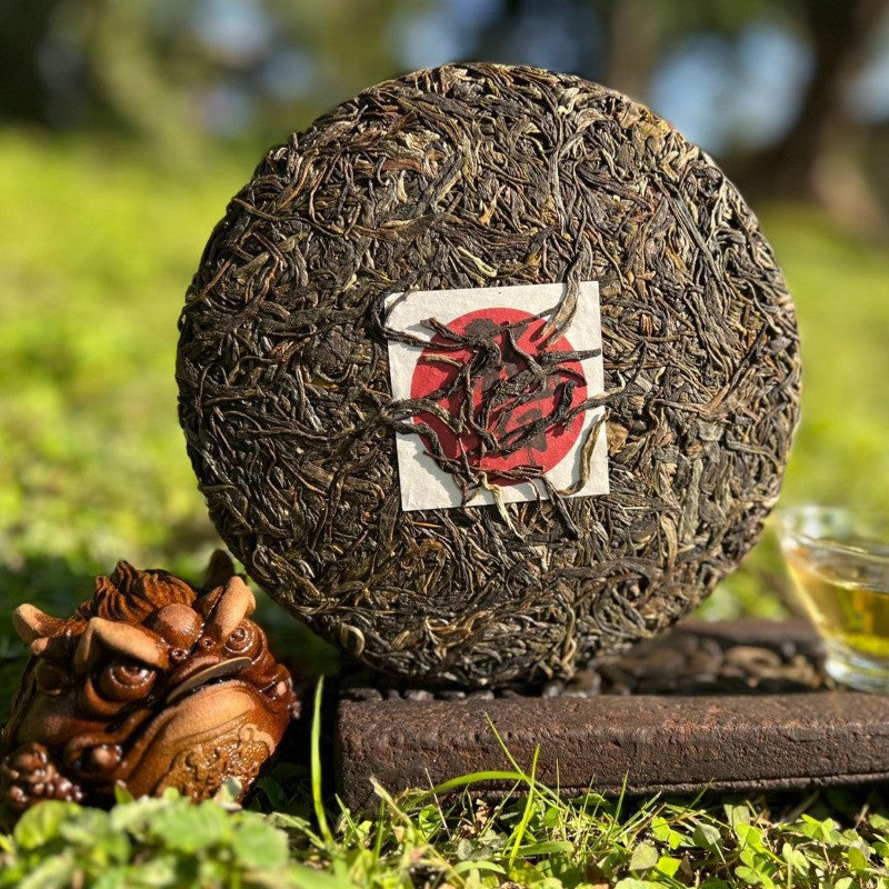 357g Authentic Yunnan Menghai Ancient Tree Dragon Yin Pu'er Tea Raw Tea Cake