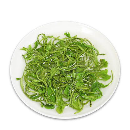 250g Top Grade New Green Tea China Xinyang Maojian Tea Mao Jian Specialty Tea