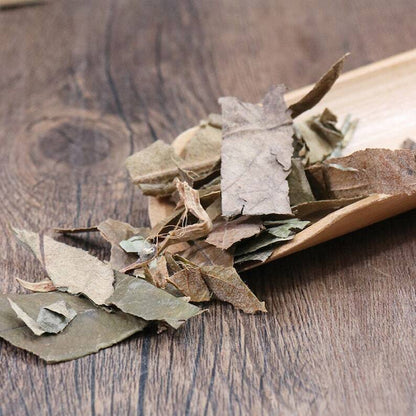 Organic Herbal Loguat Leaf Folium Eriobotryae Eriobotrya Japonica Great Quality