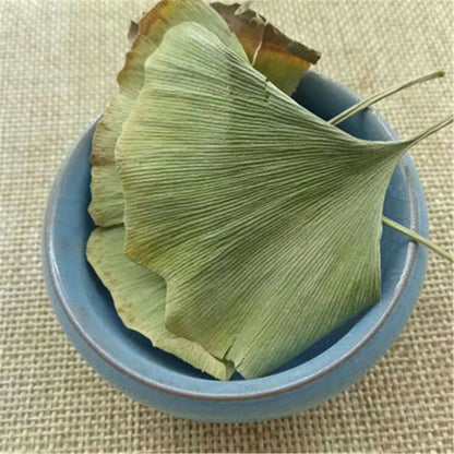 Ginkgo Biloba Leaves Chinese Wild Ginkgo Tea Herbal Tea Loose Leaves