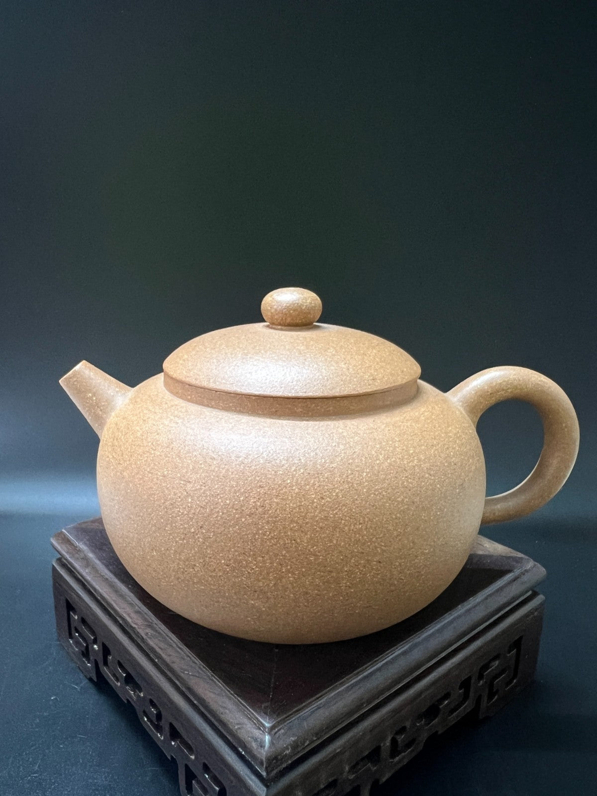 220cc chinese Yixing Handmade Zisha teapot Duan Clay XiShi Gongfu Hu Tea Pot