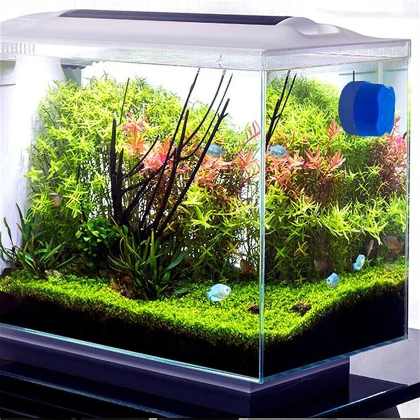 Blue Mini Fish Tank Magnetic Brush Aquarium Cleaning Glass Scraper Cleaner ff
