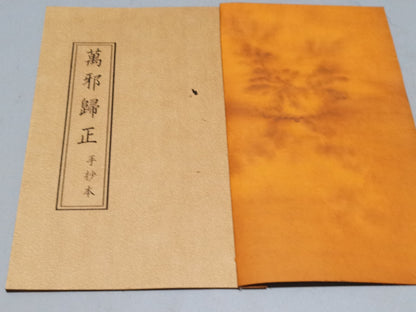 Chinese antique book "The Return of All Evil"