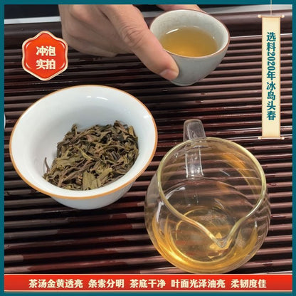Iceland First Spring Puerh Raw Tea Nectar Flavoured Puerh Tea 357g